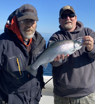 Trout beauty from Lake Ontario! 